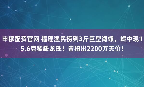 申穆配资官网 福建渔民捞到3斤巨型海螺，螺中现15.6克稀缺龙珠！曾拍出2200万天价！