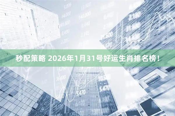 秒配策略 2026年1月31号好运生肖排名榜！