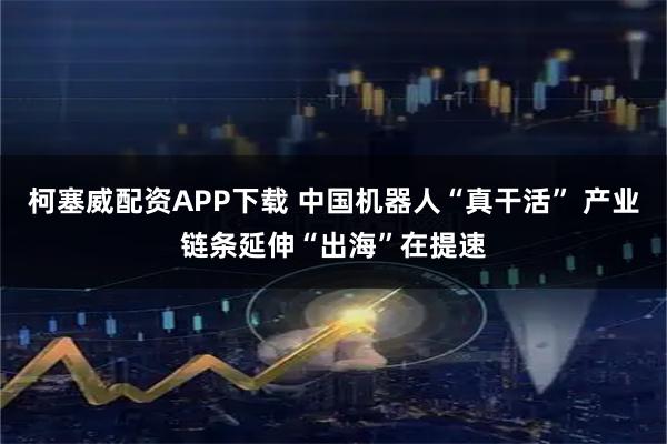 柯塞威配资APP下载 中国机器人“真干活” 产业链条延伸“出海”在提速